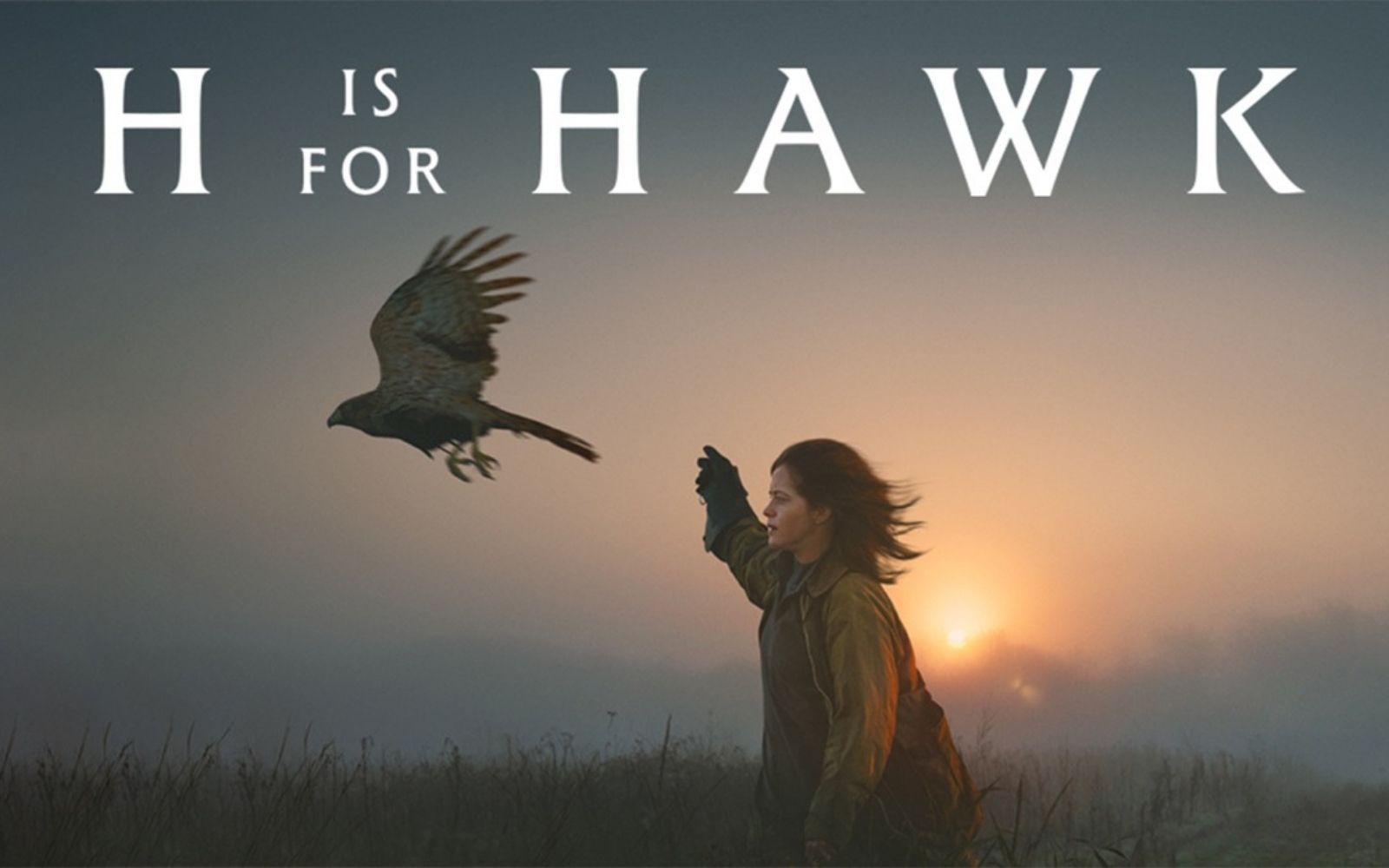 H is for Hawk